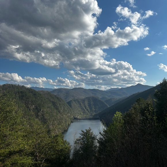 annawilliams134